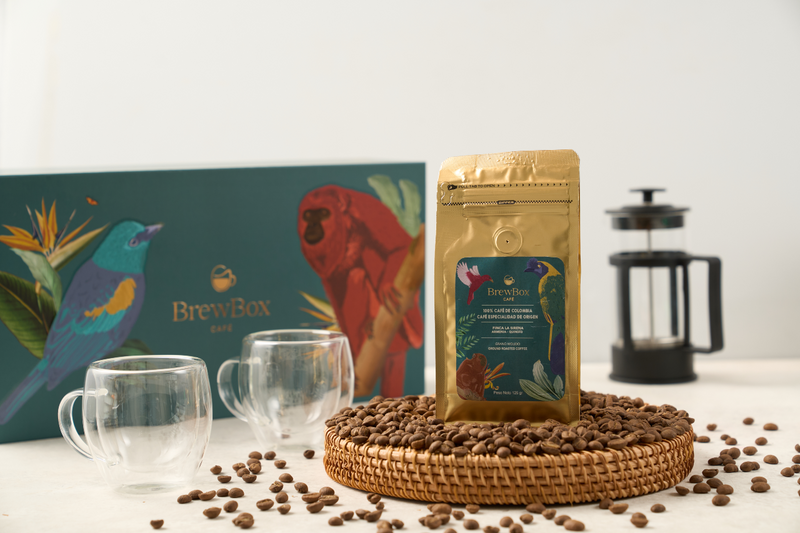 Cómo preparar café en prensa francesa | Guía completa Colombia