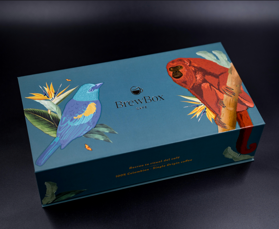 BrewBox Medium