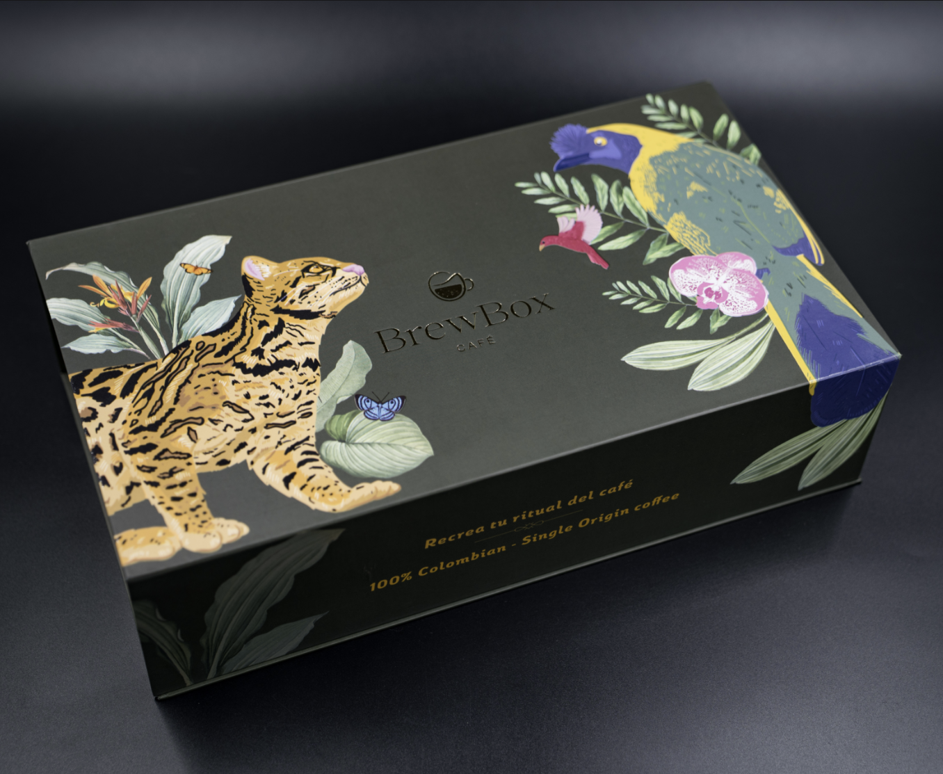 Brew Box Kit Premium