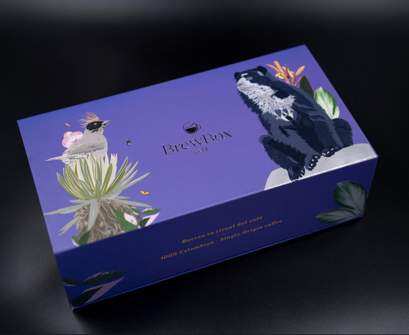 BrewBox Travel Kit -Tu café, en cualquier lugar.