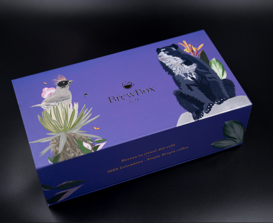 BrewBox Travel Kit -Tu café, en cualquier lugar.