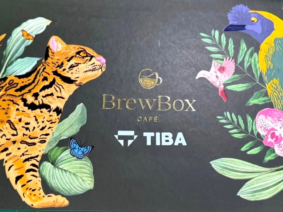 Kit corporativo BrewBox para TIBA